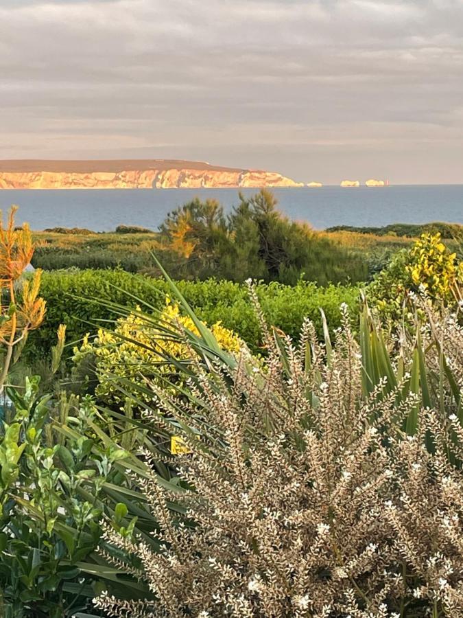 Cliff Top Garden Room 米尔福德昂西 外观 照片
